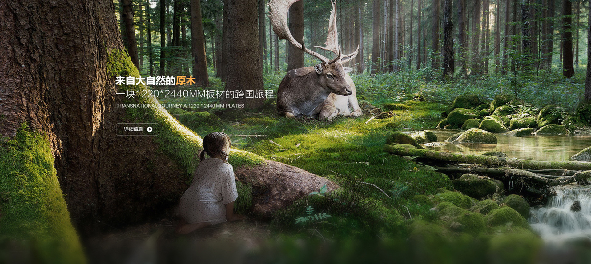 欧派选用来自大自然的原木